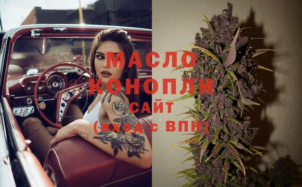 гидра Котовск