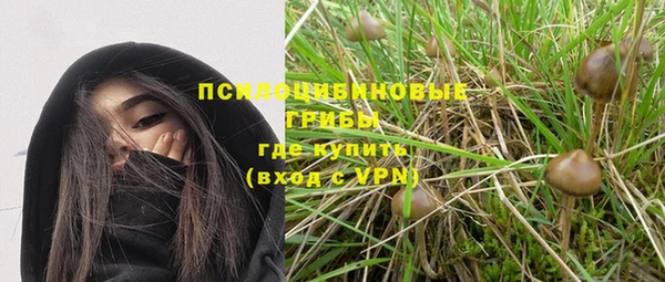 СК Лиски